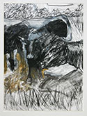 45-cows-at-dalham